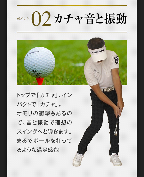 送料無料 匠 スイングマスター プロ ヘッド付 スイング練習 自宅練習