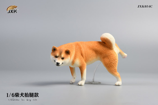 JxK.Studio】JXK054ABC shiba inu Leg Lift 1/6スケール 柴犬 イヌ
