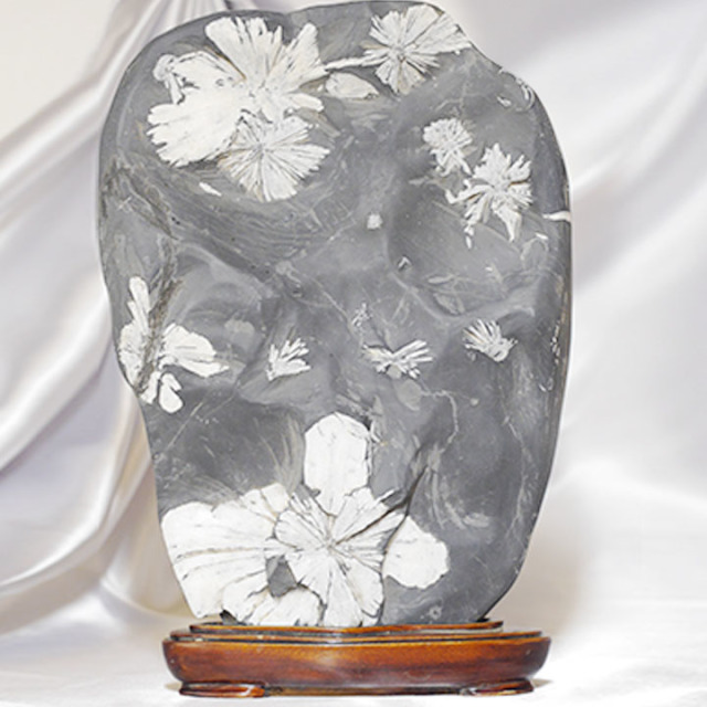 菊花石 No.263 【鑑賞用鉱石】 高さ:約22cm 幅:約14cm 重さ:約2.5kg