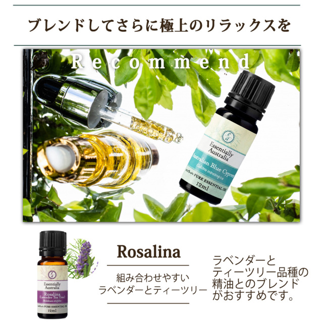 アロマオイル ブルーサイプレス 12ml エッセンシャルオイル 天然 精油