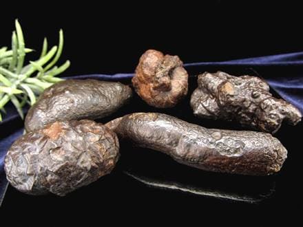 ☆光沢輝く褐鉄鉱の塊☆エジプトの星・予言石☆常軌を逸した変化