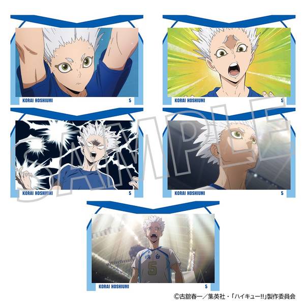 ハイキュー!! ポストカードセット／星海光来 | 4550621402050 | ポスト