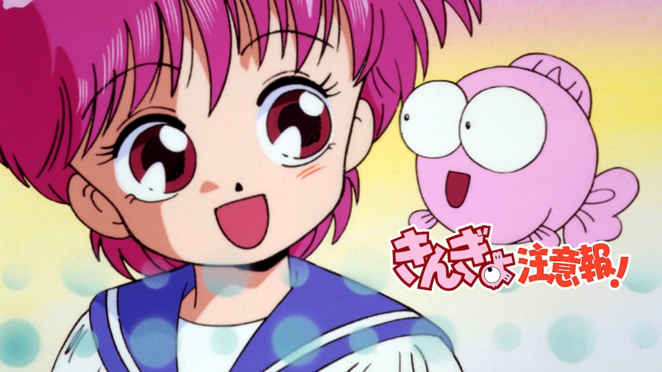 きんぎょ注意報！ | バンダイチャンネル｜最新作から不朽の名作まで