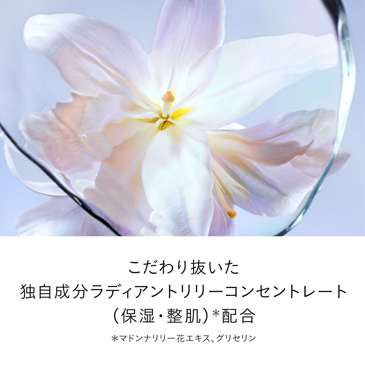 ル・セラムⅡ｜美容液｜クレ・ド・ポー ボーテ｜資生堂オンラインストア