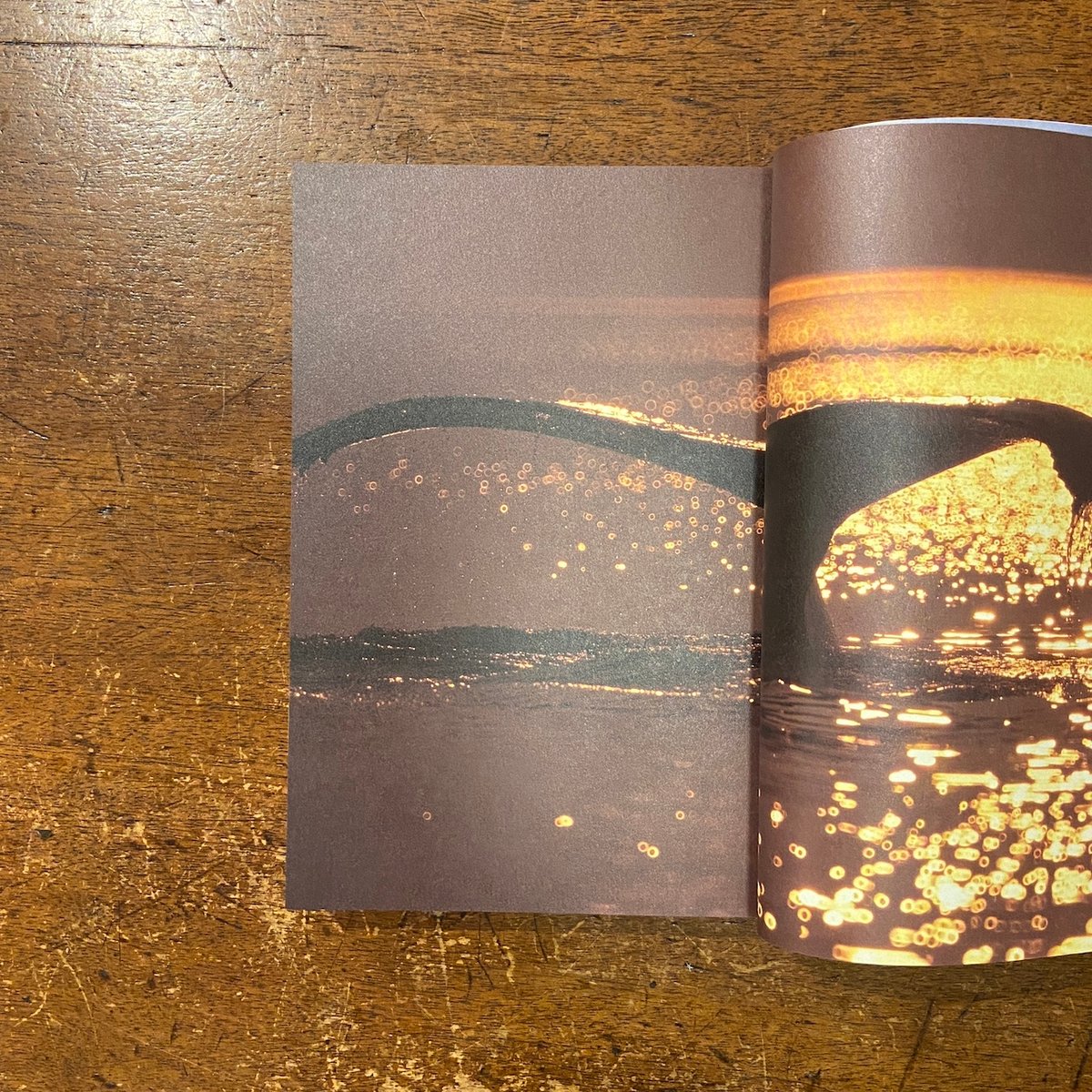 表現者」星野道夫 | Frobergue online store