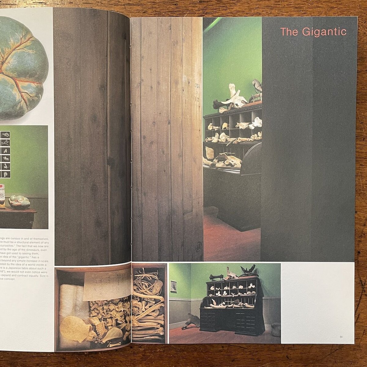 ミクロコスモグラフィア マーク・ダイオンの『驚異の部屋』 図録（豪華