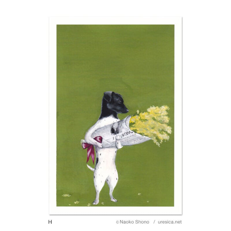 庄野ナホコ ポストカード（鳥・他） | URESICA
