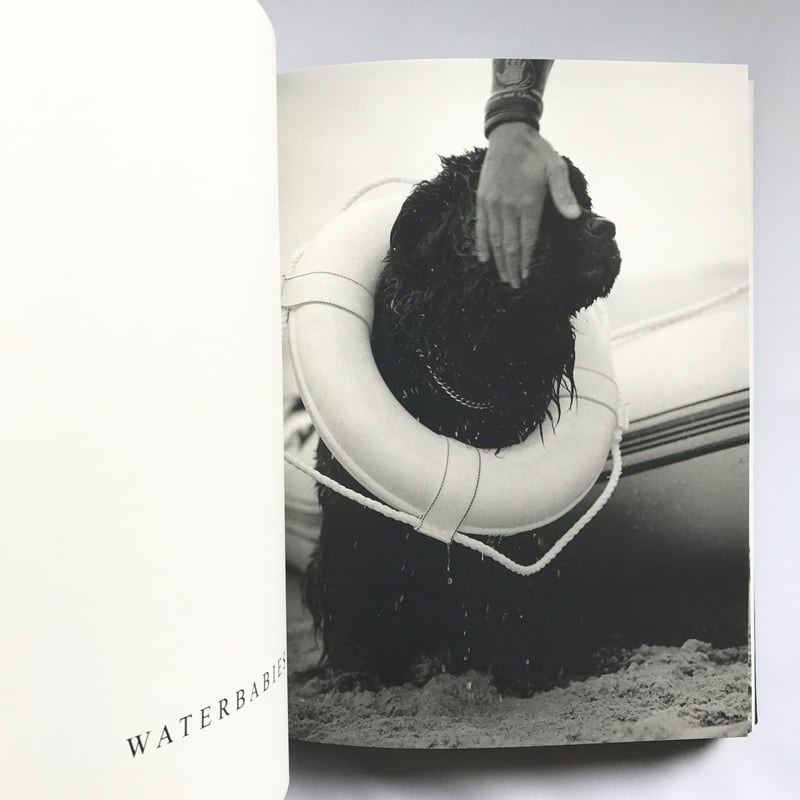 Title/Gentle Giants Author/ Bruce Weber | COWBOOKS