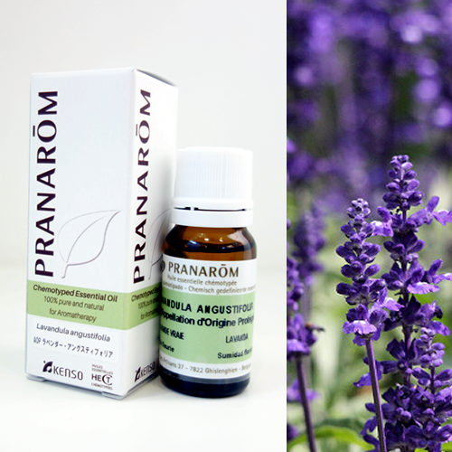 AOPラベンダー・アングスティフォリア [10ml] | perfume onlineshop