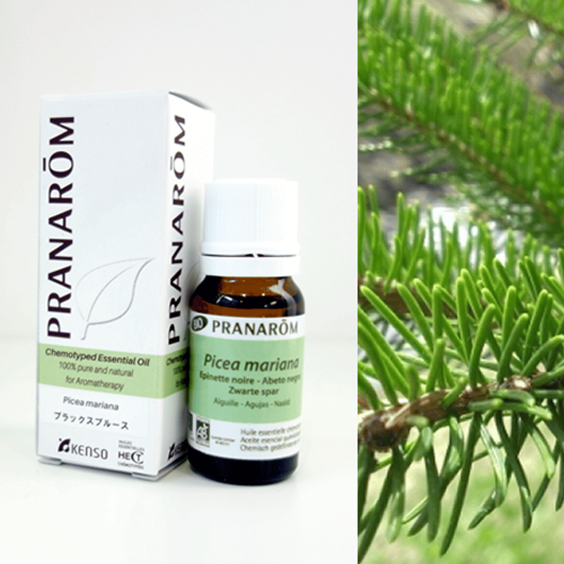 ブラックスプルース [10ml] | perfume onlineshop