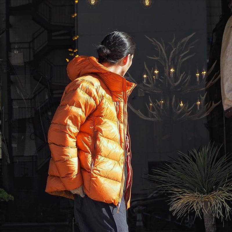 patagonia ／ FITZROY DOWN HOODY | CALIFORNIA HA