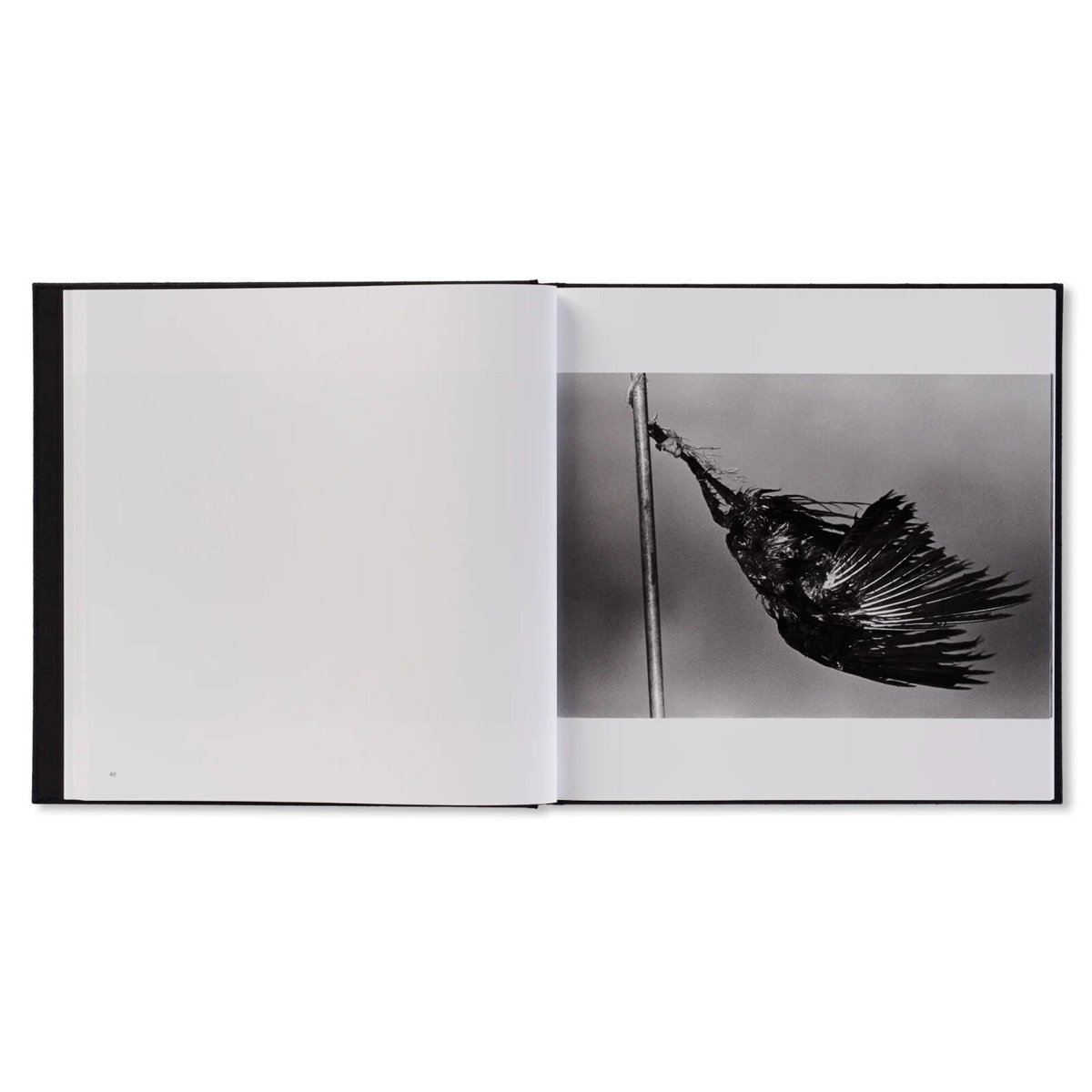 鴉（RAVENS） / 深瀬昌久 | ホホホ座浄土寺店