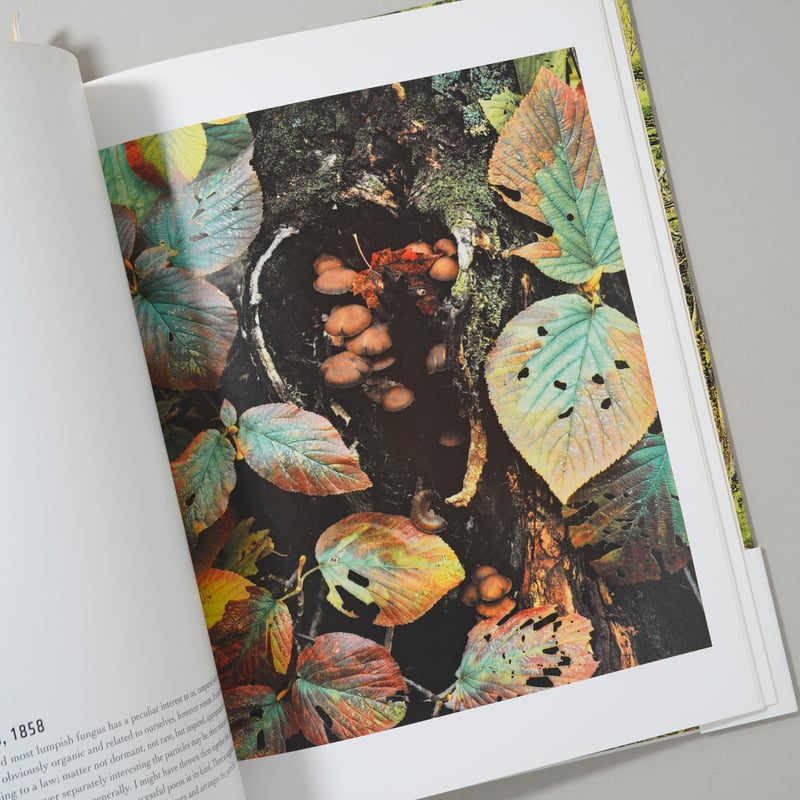 In Wildness Is the Preservation / Eliot Porter(