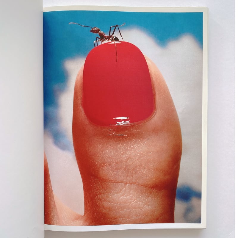 HIRO PHOTOGRAPHS | BOOKNERD