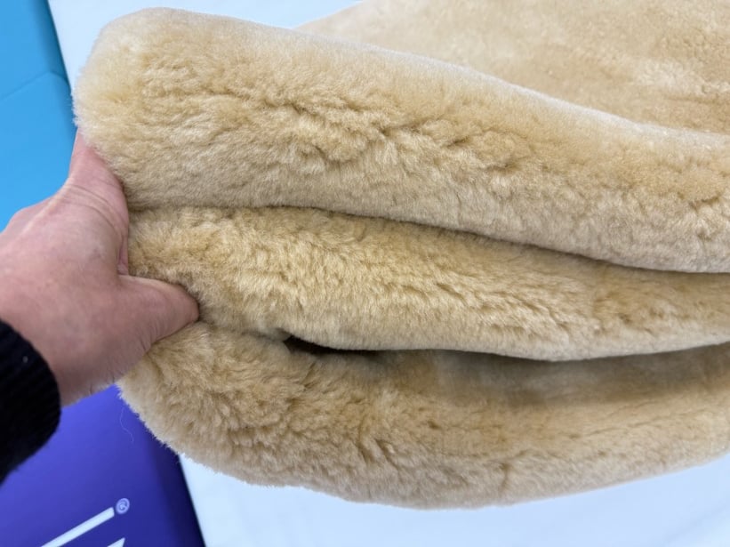 マスダ製 ムートンシーツ 毛長25mm （シングルサイズ） | （有）野田