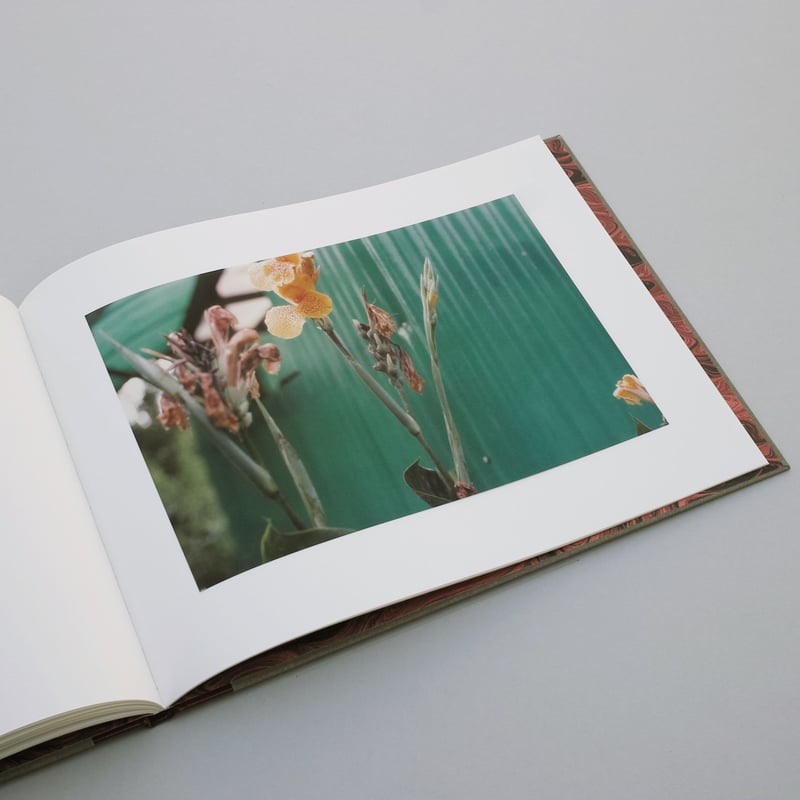 William Eggleston / Flowers | POST