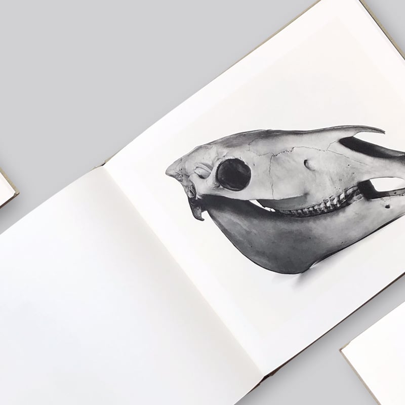 Irving Penn / Cranium Architecture | POST