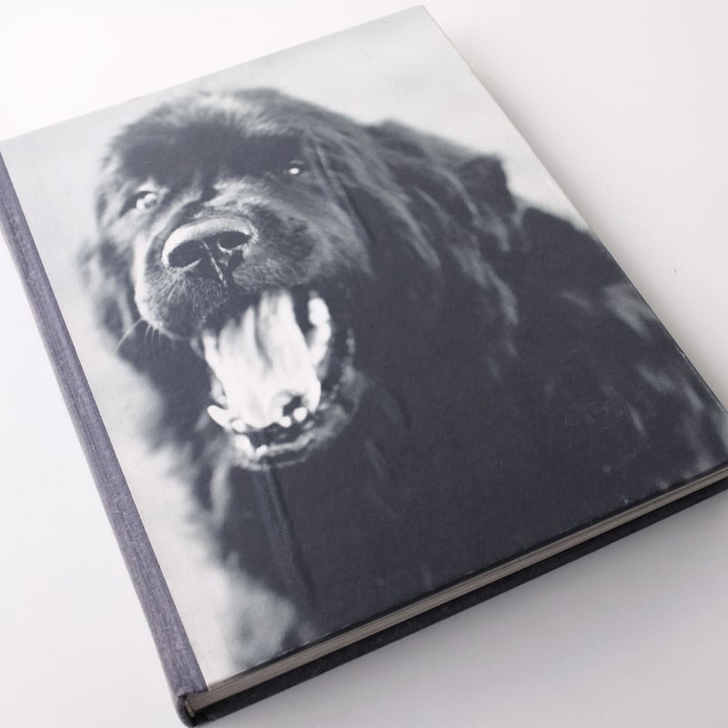 Bruce Weber / Gentle Giants | POST