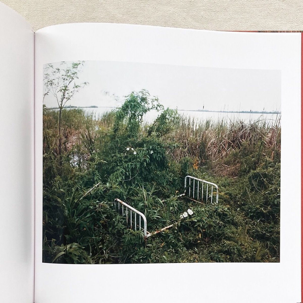 Alec Soth｜SLEEPING BY MISSISSIPPI | 曲線