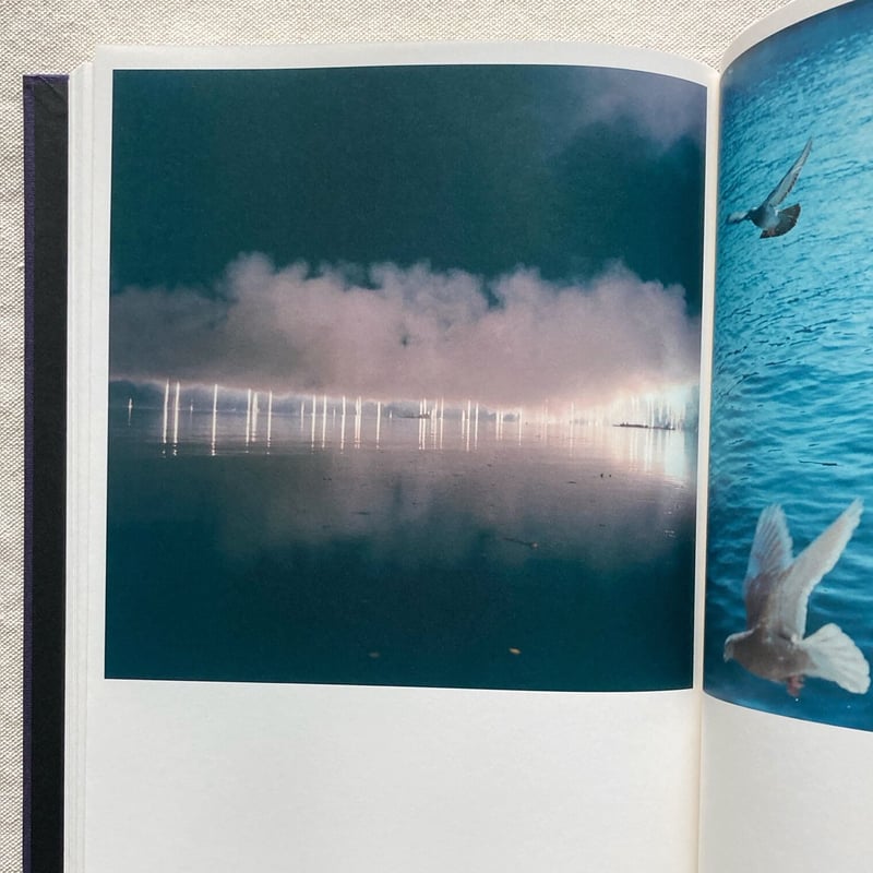 川内倫子｜Illuminance | 曲線