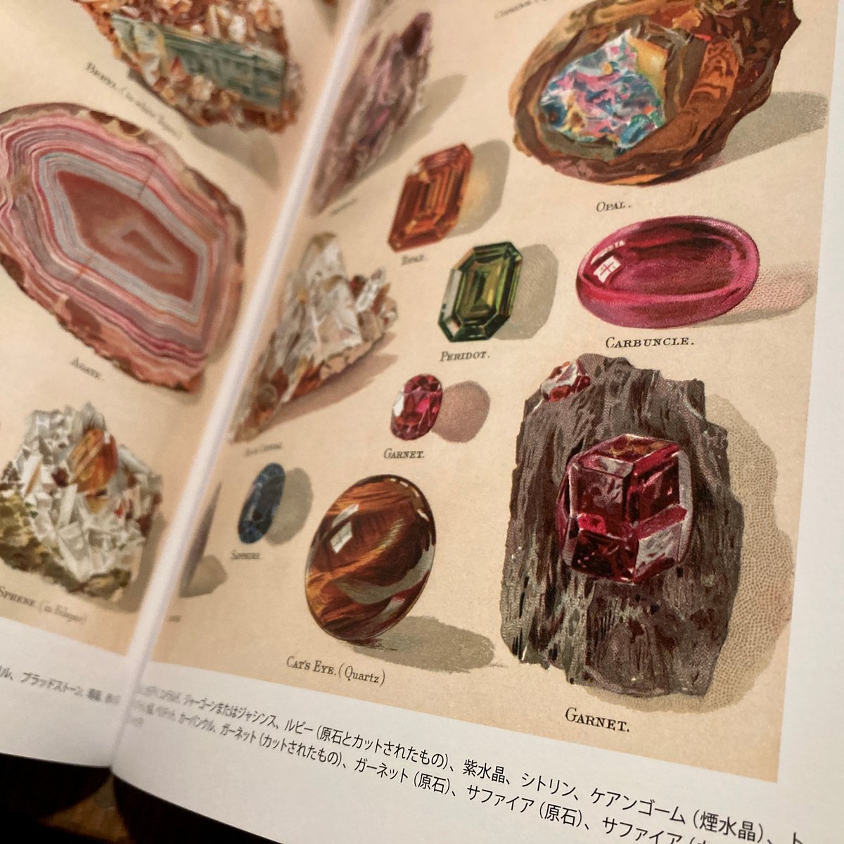 fit=scale-down,w=1200