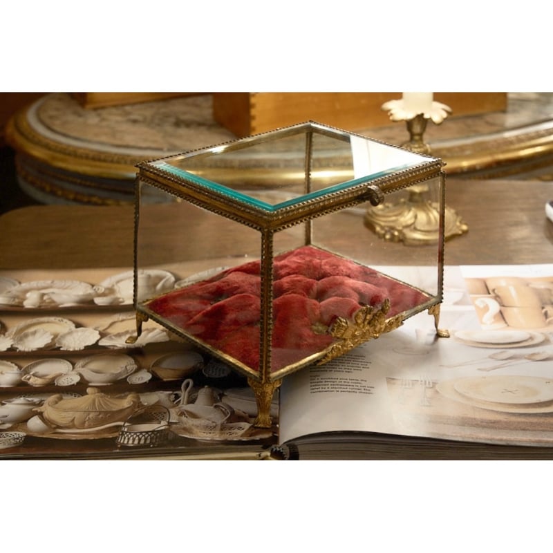 貴重 フランスアンティーク 大きなジュエリーボックス 宝石箱 ワックス