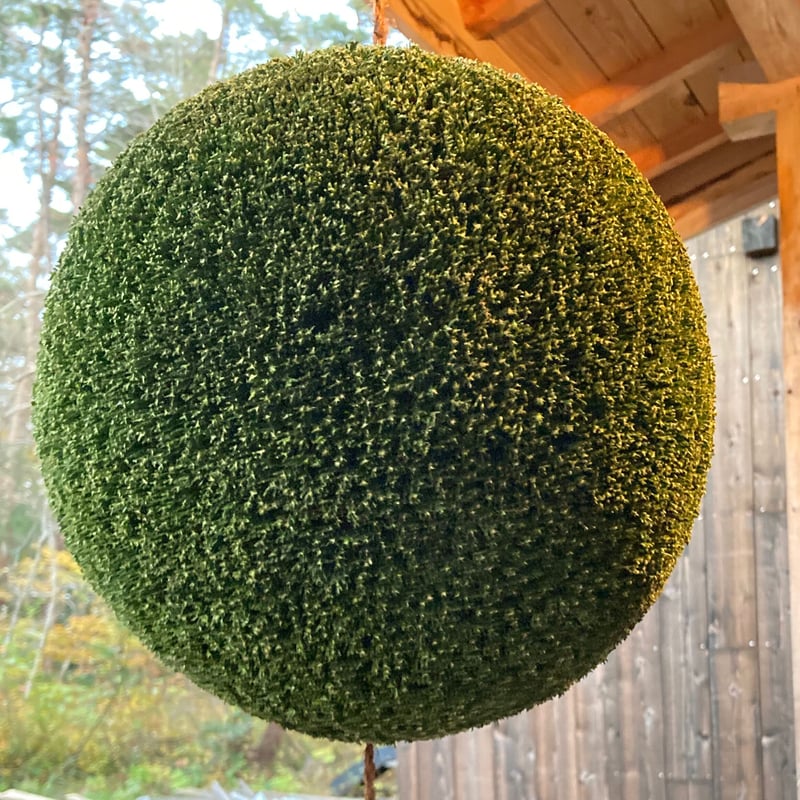 杉玉 一尺玉（約30cm） | 楠玉屋