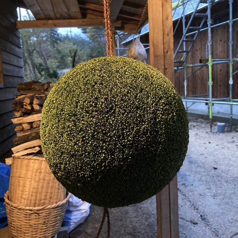 杉玉 一尺玉（約30cm） | 楠玉屋