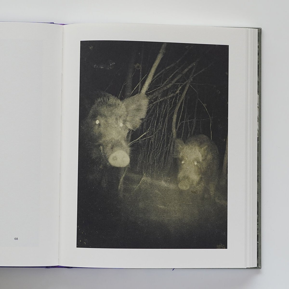 Night Procession | Nobody Books. jp