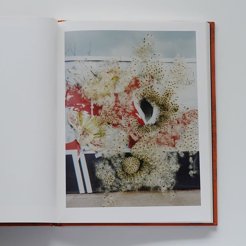 Hackney Flowers | Nobody Books. jp