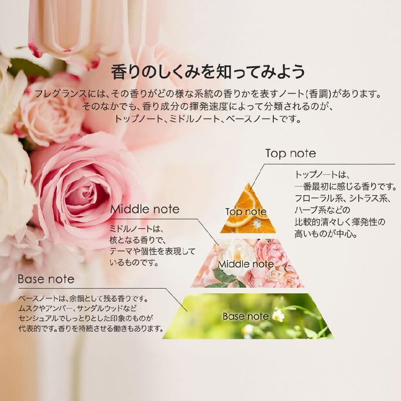 アシュレイ＆バーウッド ランプフレグランス ルバーブ＆ローズ 500ml