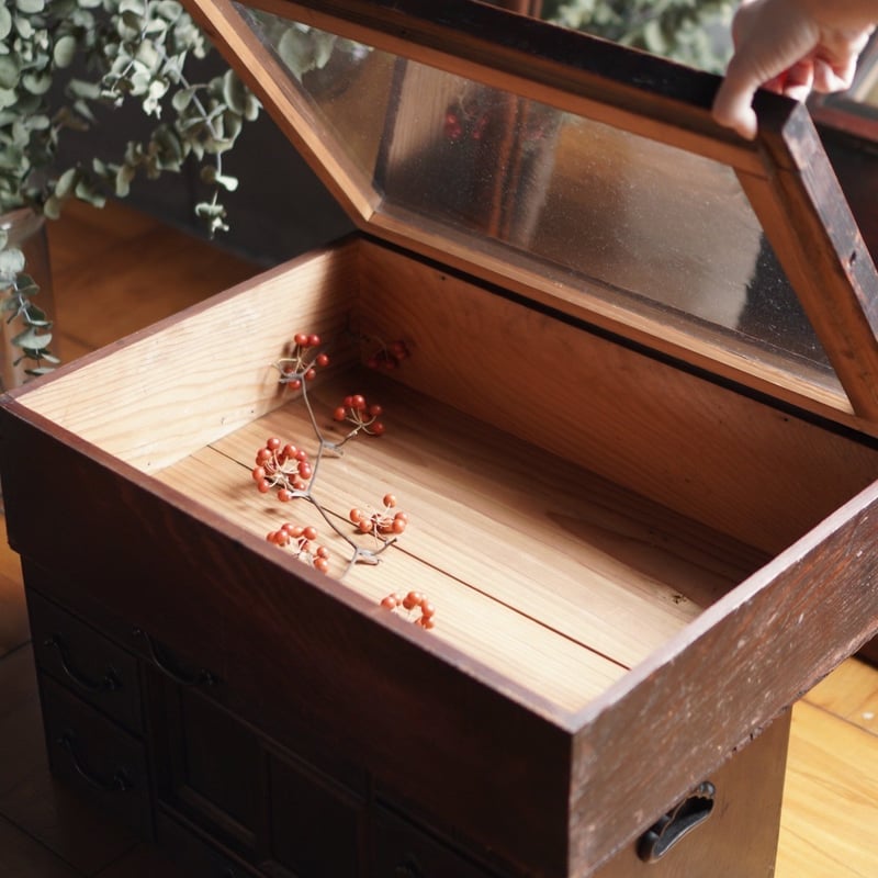 古いガラス扉の箱 木製 ディスプレイ コレクション ケース 古道具