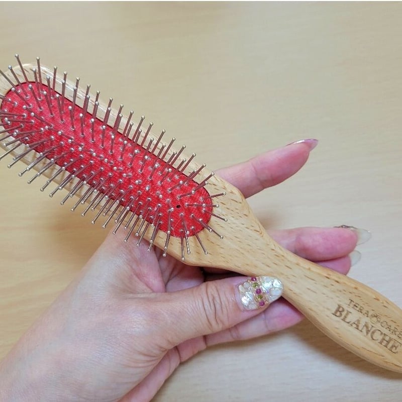 ペット&人 兼用で使える♪テラケア®️ブラシ定価¥21,560 | 厳選