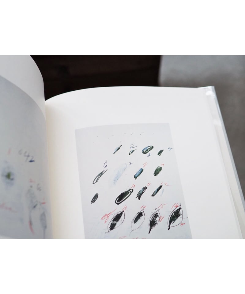 サイ・トゥオンブリーの写真 －変奏のリリシズム－ | button