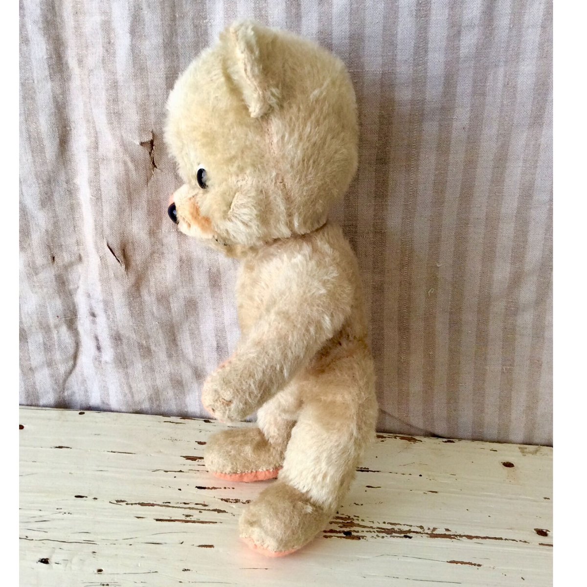 シュコー社 ポンチ目のくま | sputnikplus online shop