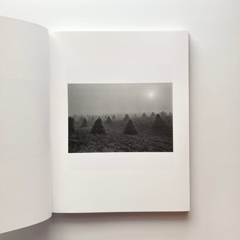 The Seraphim - Jesse Lenz | goat books