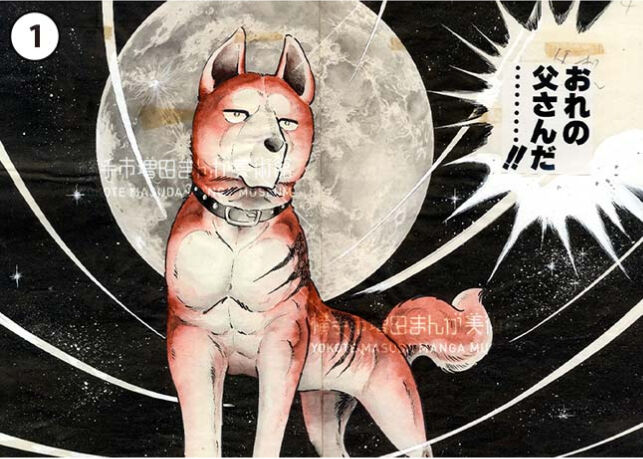 fit=scale-down,w=1200