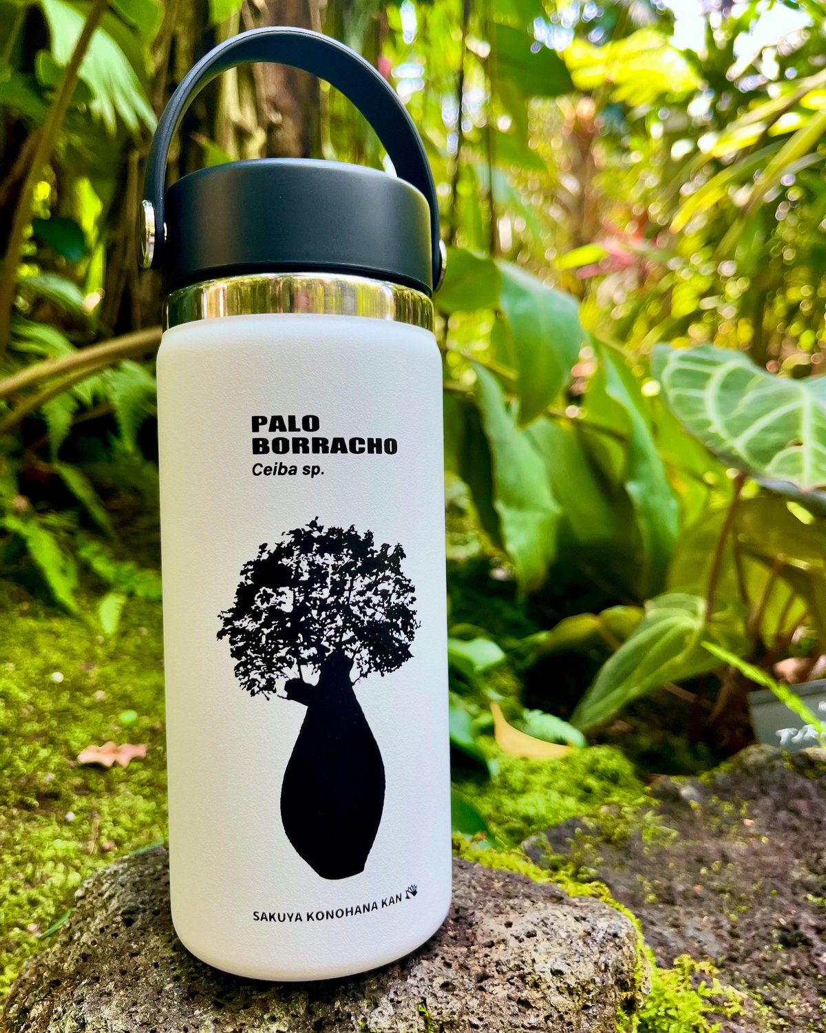 H予約済 コカコーラ ボトル 瓶 モロッコ H予約済 コカコーラ ボトル 瓶