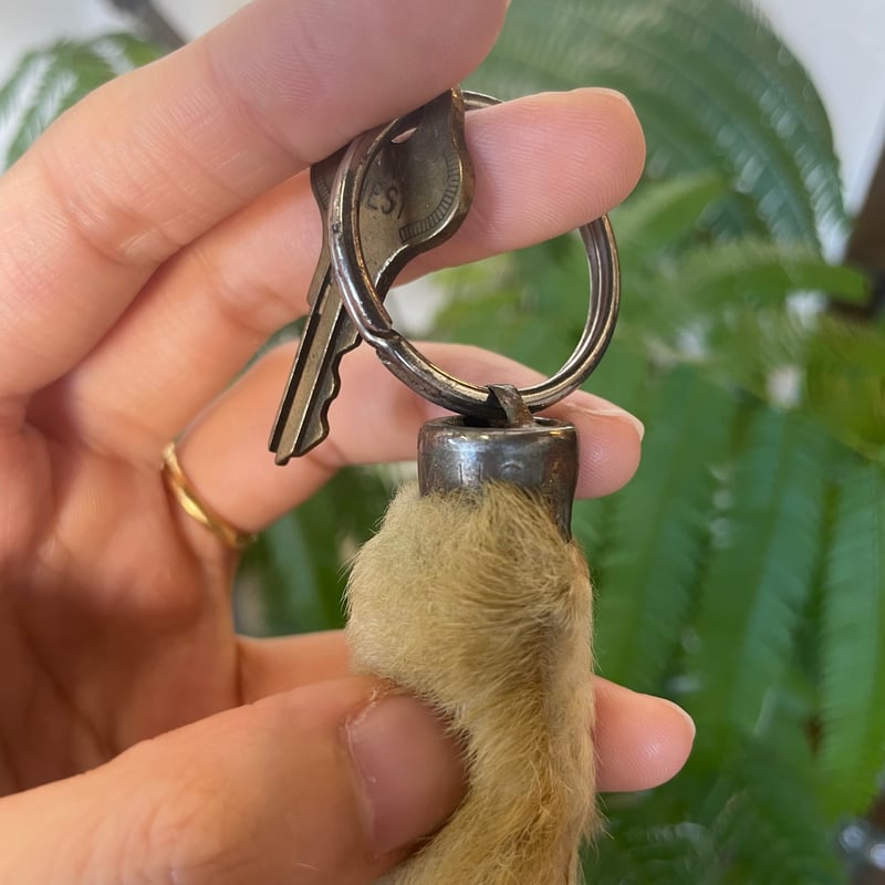 1940-60's ラビットフットキーホルダー | 7miles from the Dream