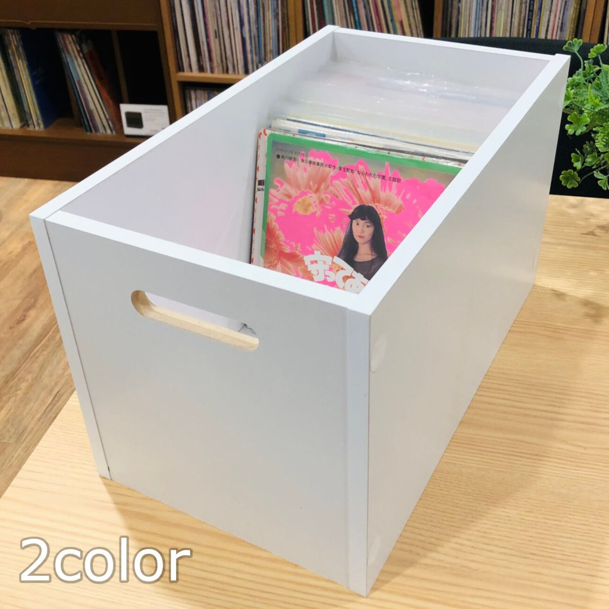 EP レコードラック | diskunion CDレコードアクセサリー・収納ストア