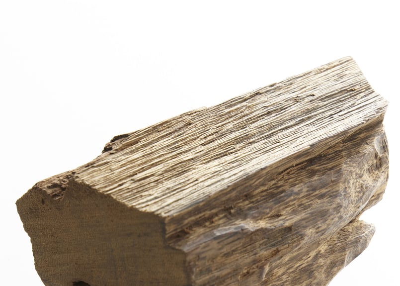 香木 仮銘「雪間の草」 羅国（沈香） 0.6g | KOGADO STORE