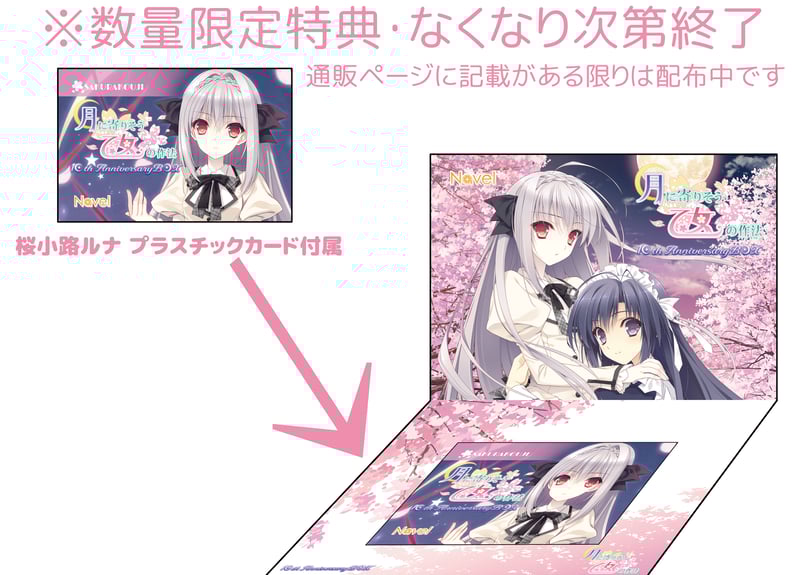 月に寄りそう乙女の作法10周年アニバーサリーボックス】※数量限定購入