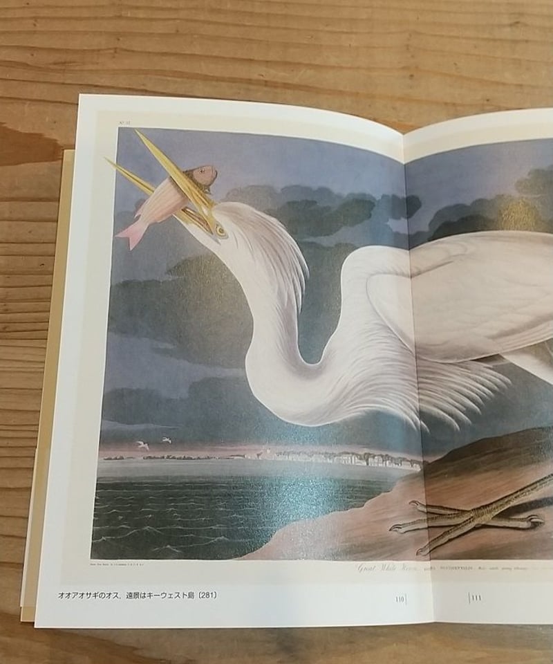 オーデュボンの鳥 『アメリカの鳥類』セレクション