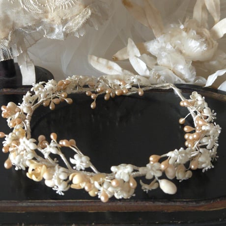 ワックスフラワー | STORES