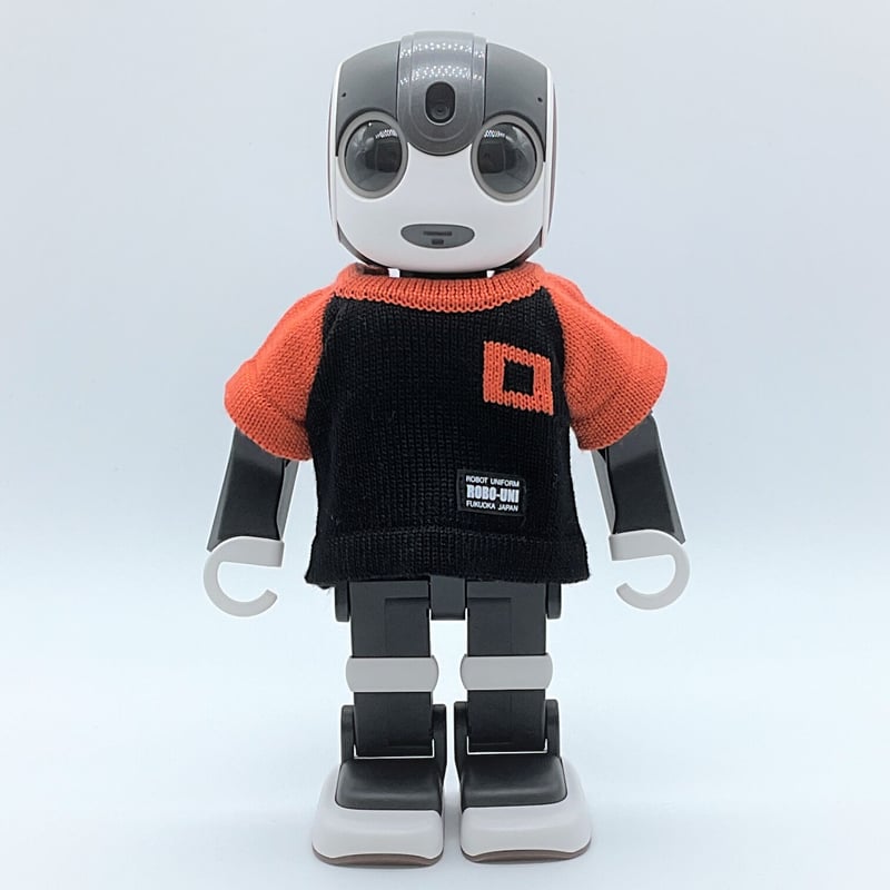 地元応援ニットTシャツGオレンジ【ロボホン公式ライセンス商品