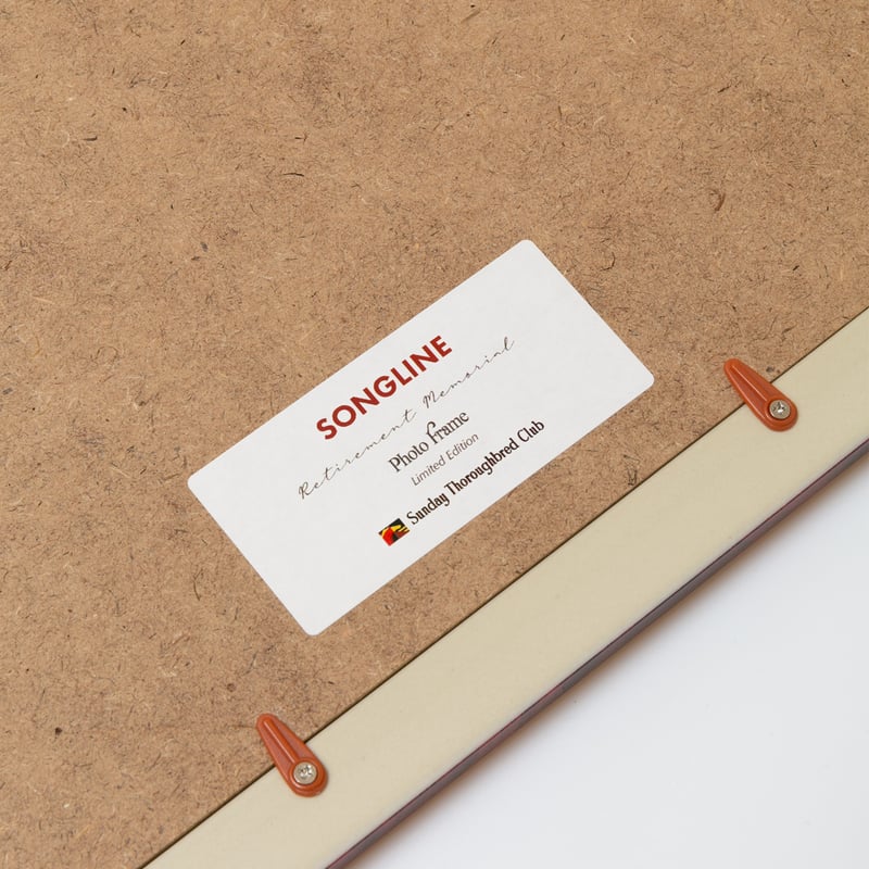 数量100個限定】ソングライン引退記念写真デザインパネル（シリアル