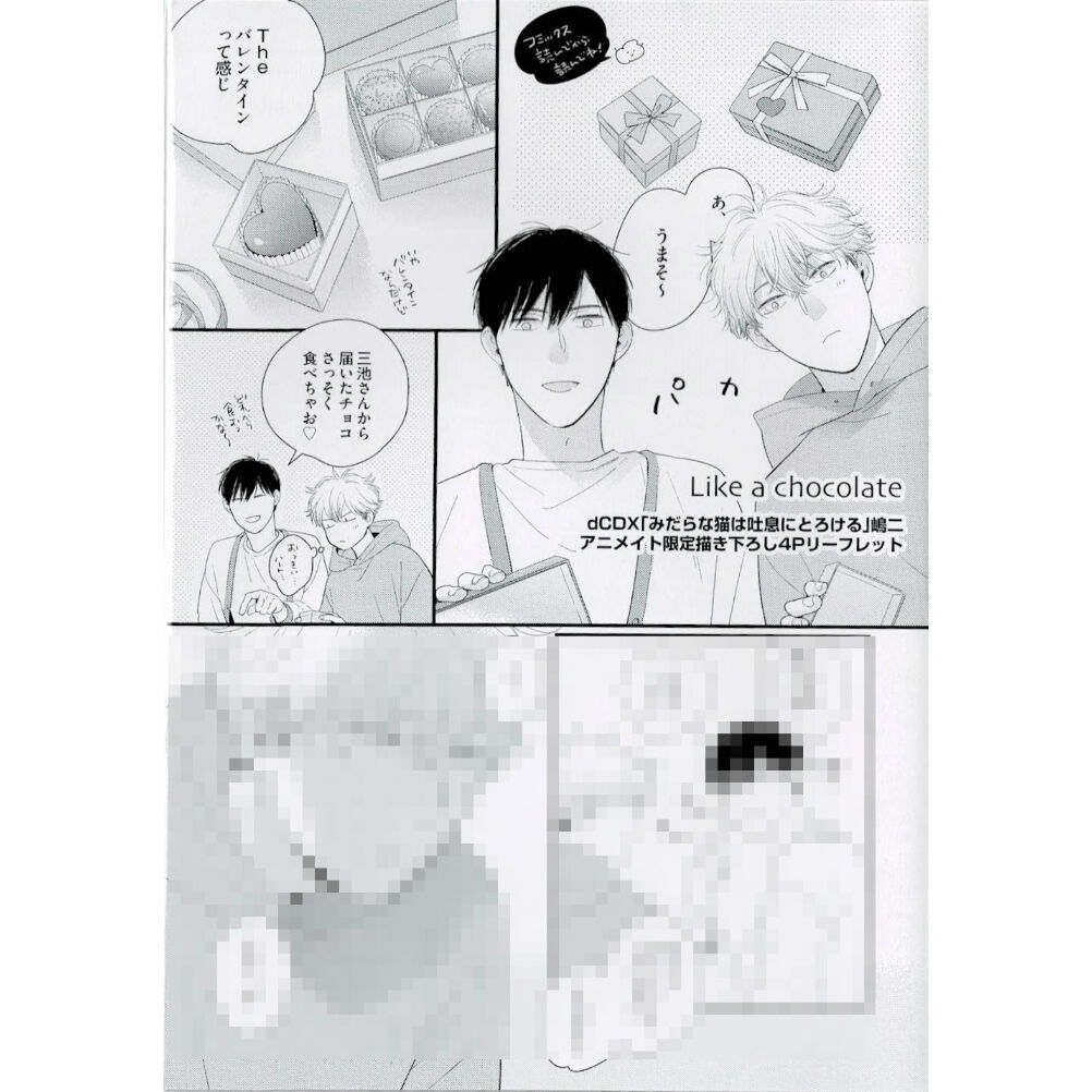 嶋二『みだらな猫は吐息にとろける』アニメイト特典 リーフレット【BL