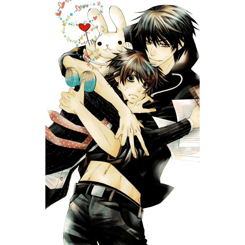 中村春菊 『純情ロマンチカ』『世界一初恋』 ポストカードセット【BL