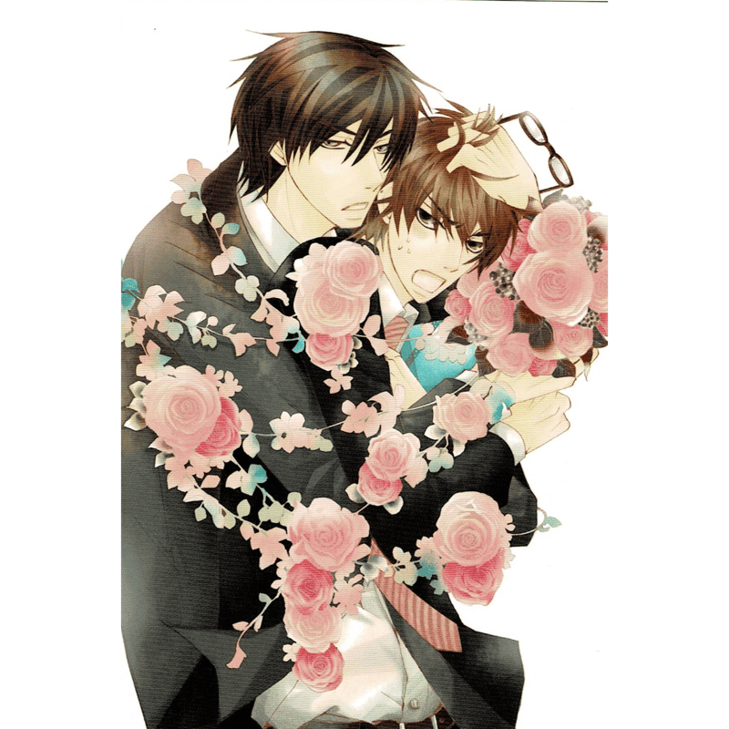 中村春菊 『純情ロマンチカ』『世界一初恋』 ポストカードセット【BL