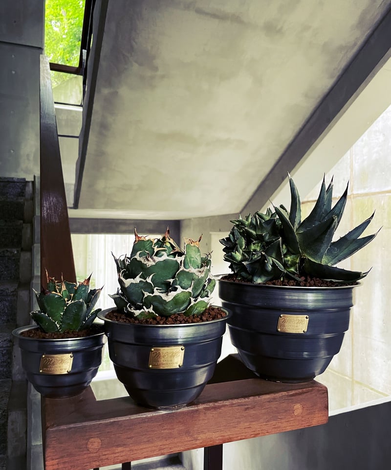CATEGORY PLANT POT | MASSES OFFICIAL ONLINE STORE
